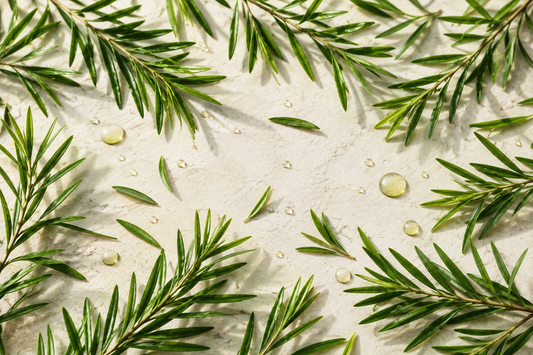 Tea tree olie: werking, voordelen en gebruik