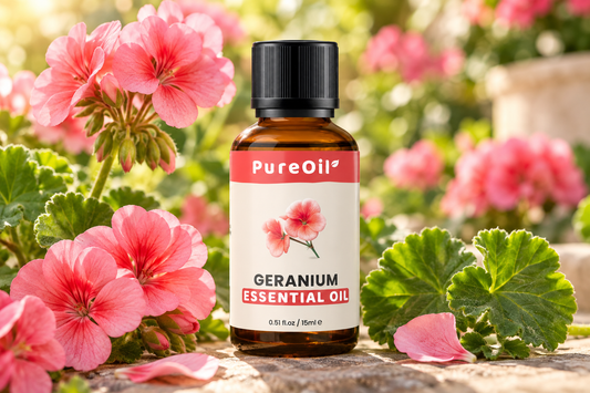PureOil® Geranium etherische olie tussen geraniumbloemen