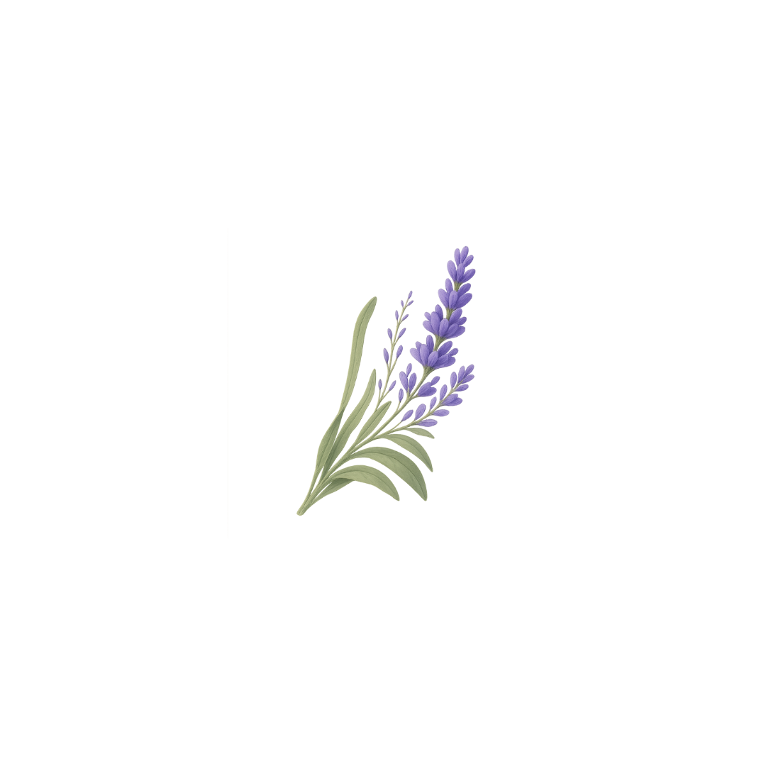 Lavendel Essentieel Olie (30ML) 100% Puur