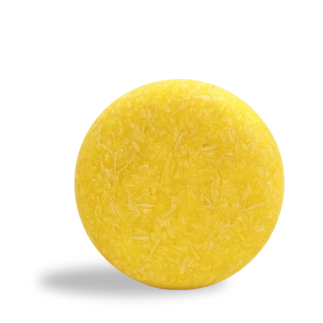 Ginger Shampoo Bar - 100% Natuurlijk