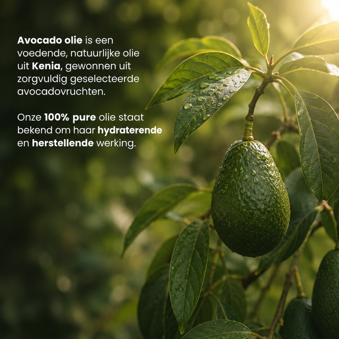 Avocado Olie – 100% Puur & Natuurlijk