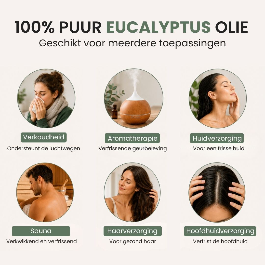 Eucalyptus Etherische Olie