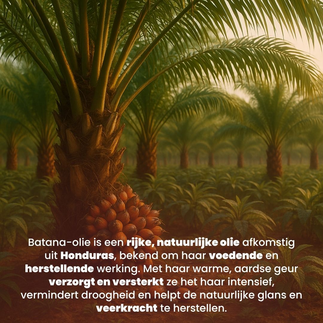 Batana Olie - Intensief Herstel & Groei Set