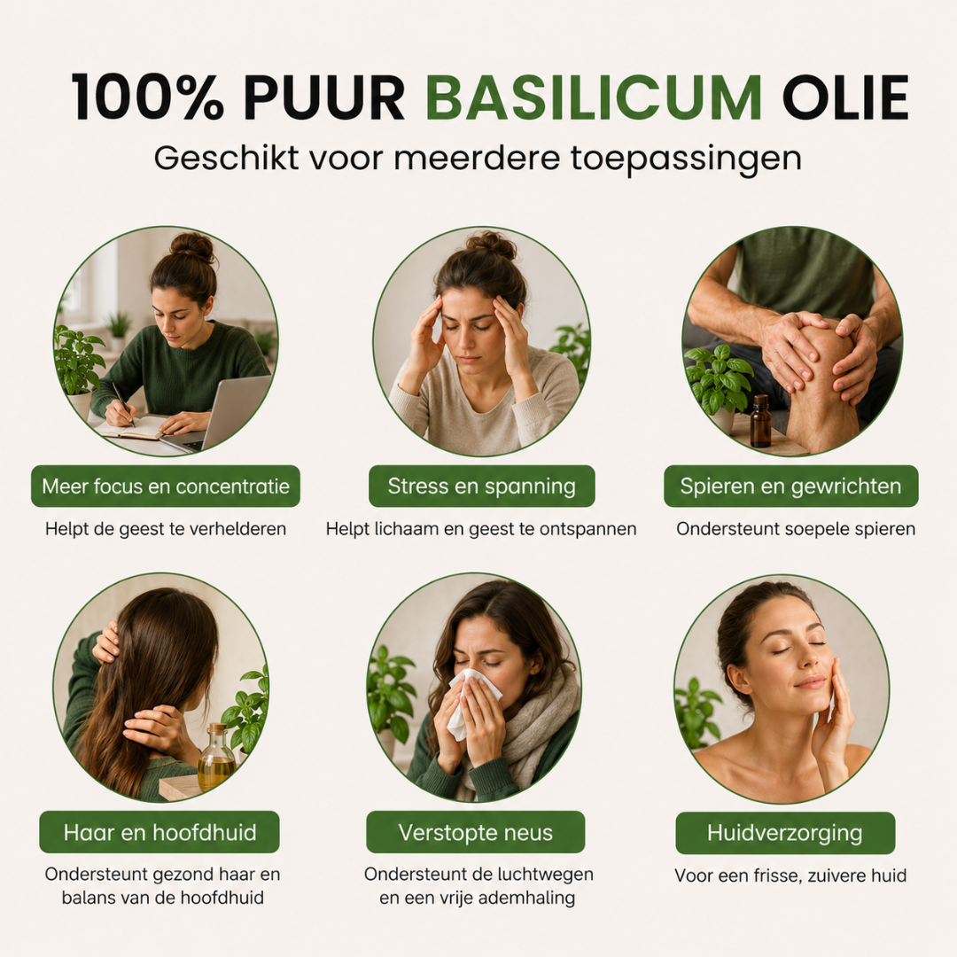 Huile Essentielle de Basilic 100% Pure et Distillée à la Vapeur