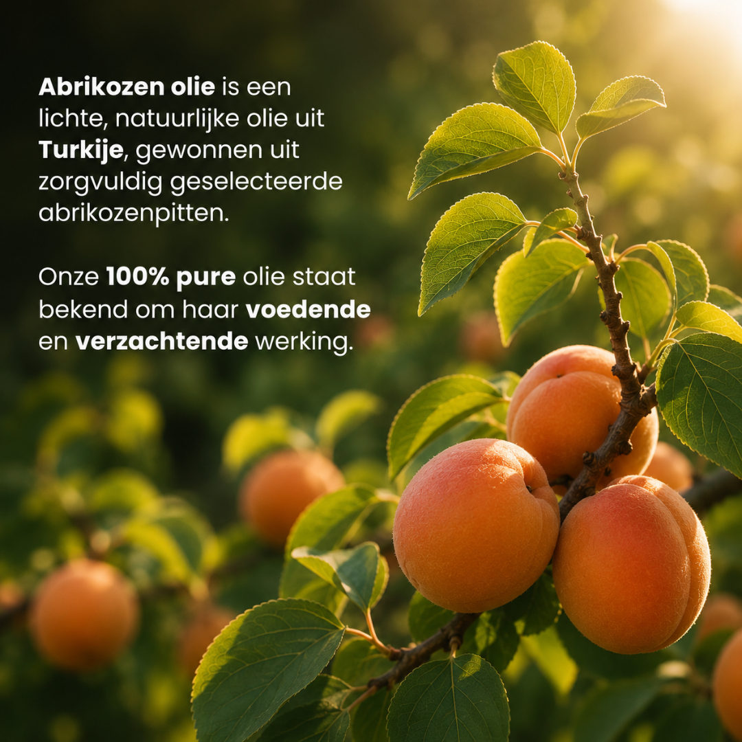 Apricot Kernel Oil (100ML) – 100% Pure & Cold-Pressed