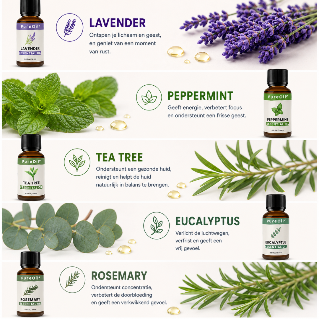 Etherische oil set: Top 5 Bestsellers