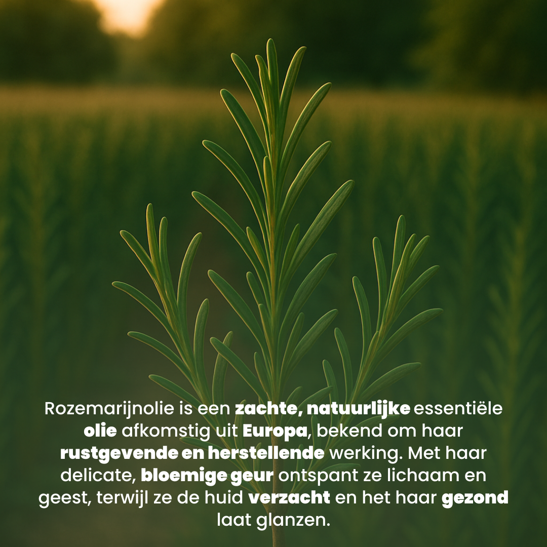 Rozemarijn Water (150ML) 100% Natuurlijk & Vegan