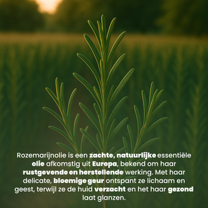 Rozemarijn Water (150ML) 100% Natuurlijk & Vegan