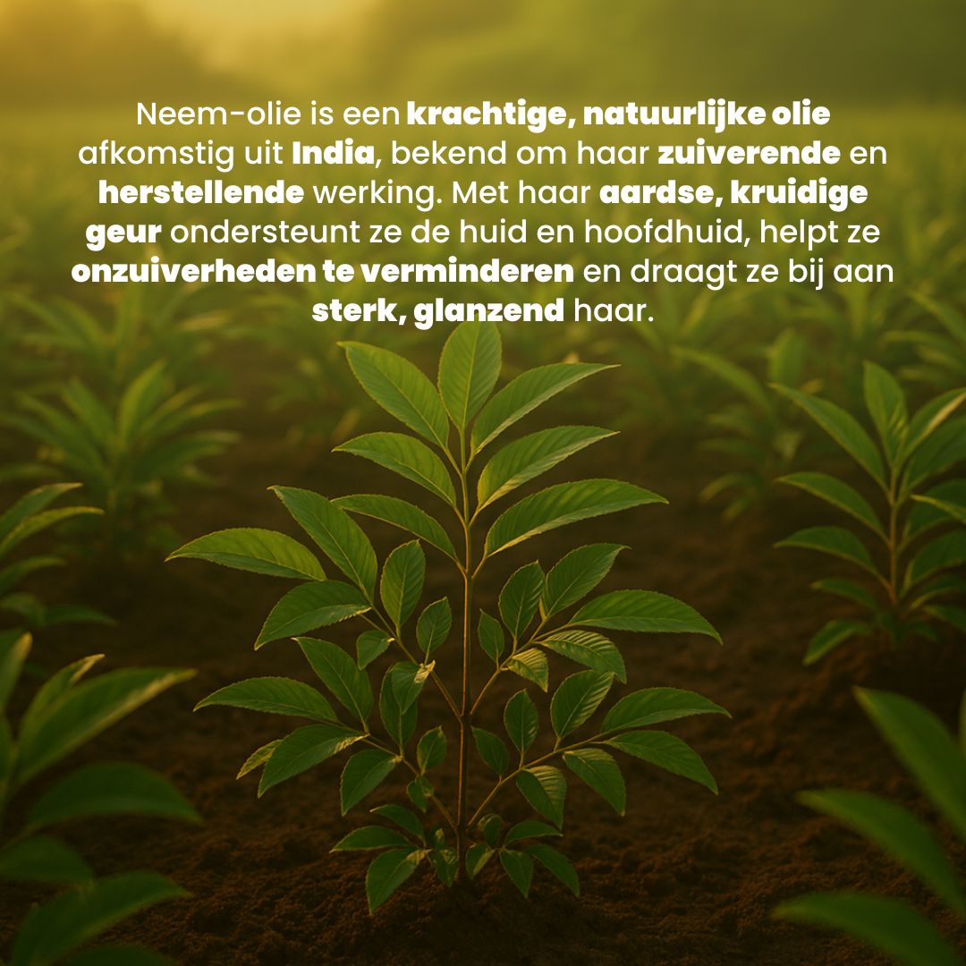 Neem Olie (100ML) – 100% Puur & Koudgeperst