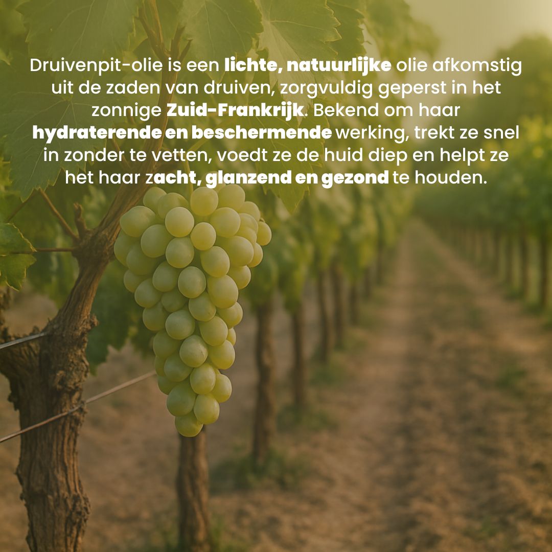 Druivenpit Olie (100ML) – 100% Puur & Koudgeperst