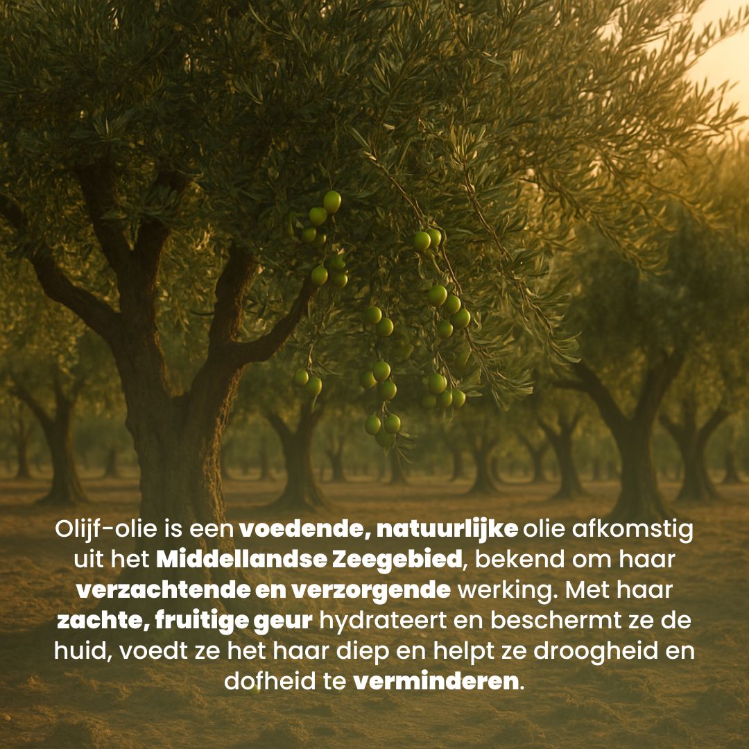 Olijf Olie (100ML) 100% Puur & Koudgeperst