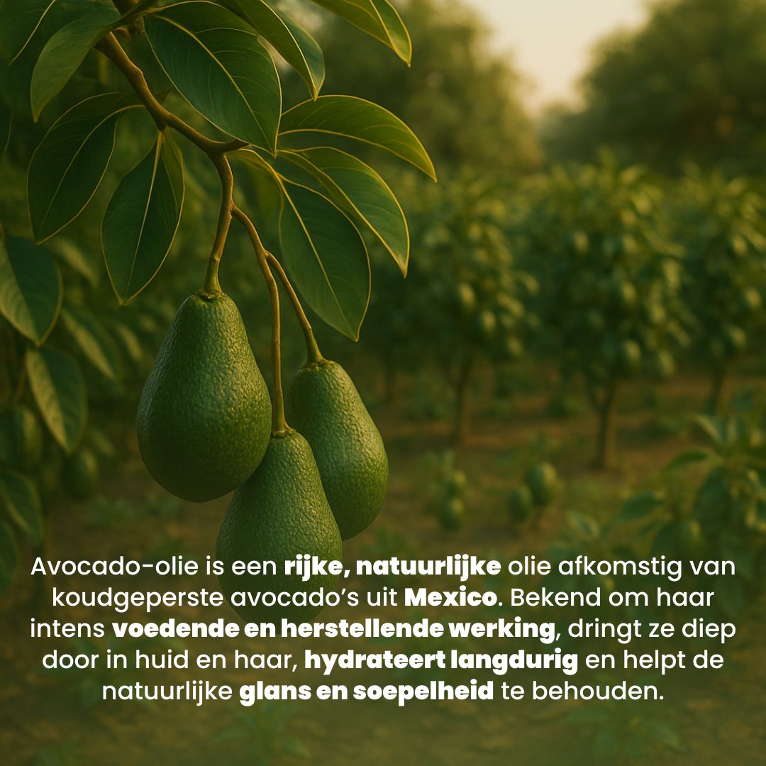 Avocado Olie (100ML) – 100% Puur & Natuurlijk