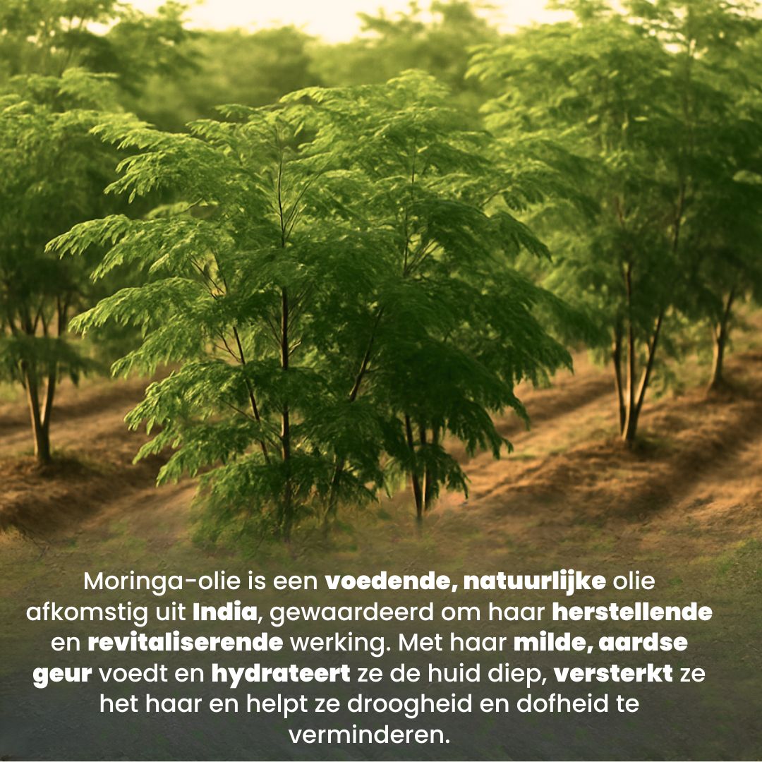 Moringa Olie (50ML) 100% Puur & Koudgeperst