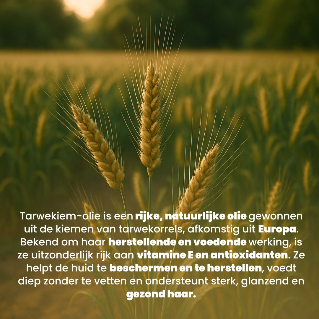 Tarwekiem Olie (100ML) – 100% Puur & Koudgeperst