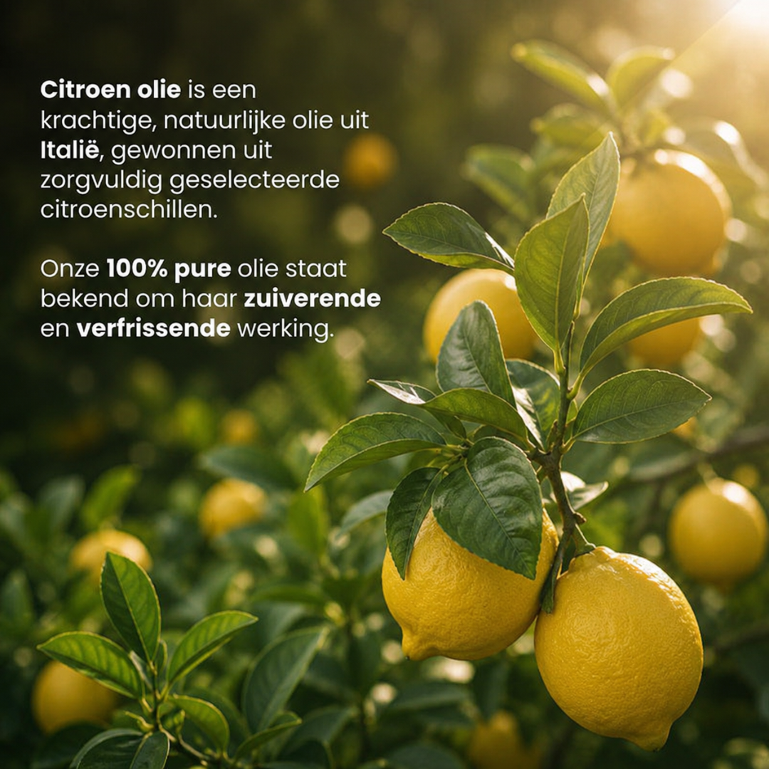 Ätherisches Zitronenöl 100 % rein & dampfdestilliert