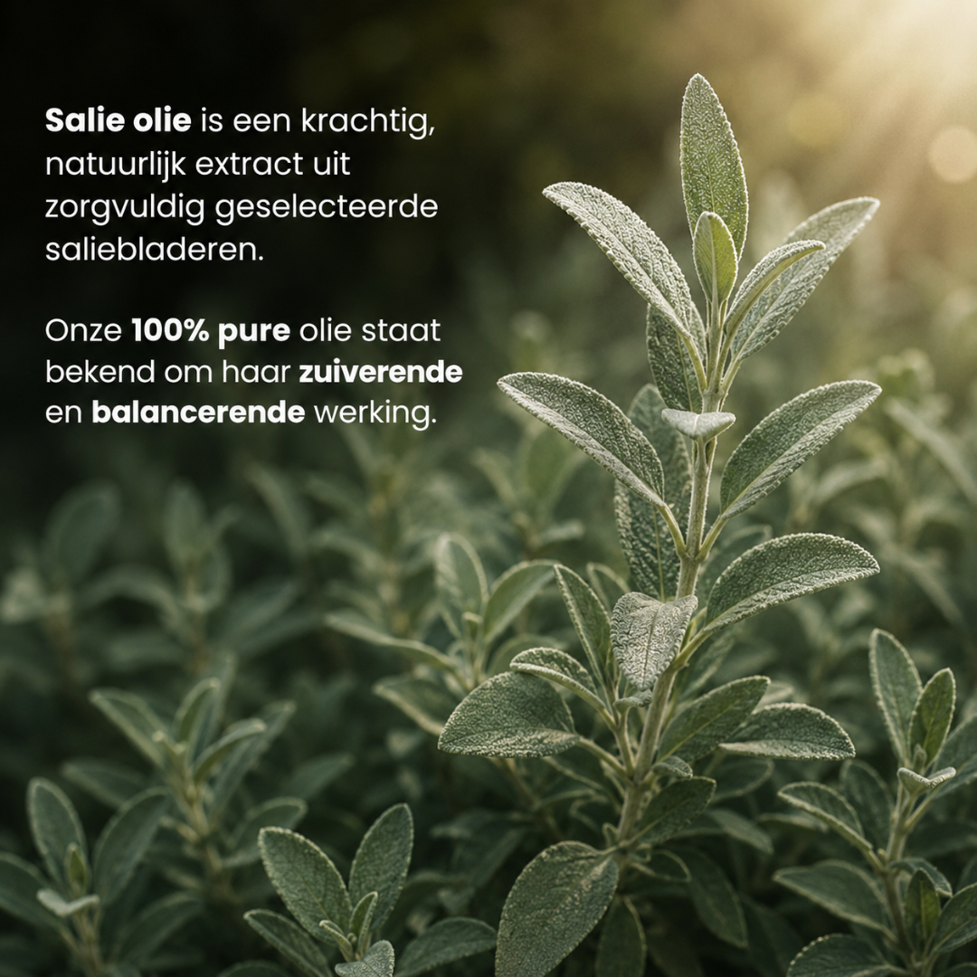 Huile Essentielle de Sauge 100% Pure & Distillée à la Vapeur