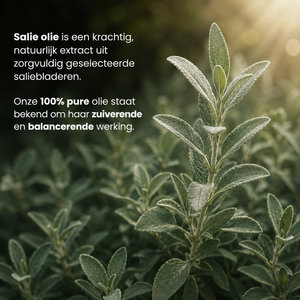 Salie Etherische Olie 100% Puur & Stoomgedestilleerd