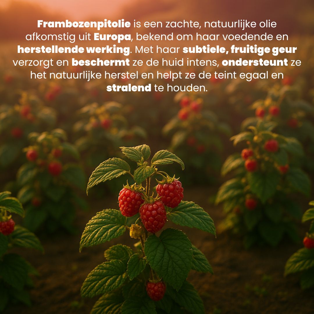 Frambozenpit Olie (50ML) – 100% Puur & Koudgeperst