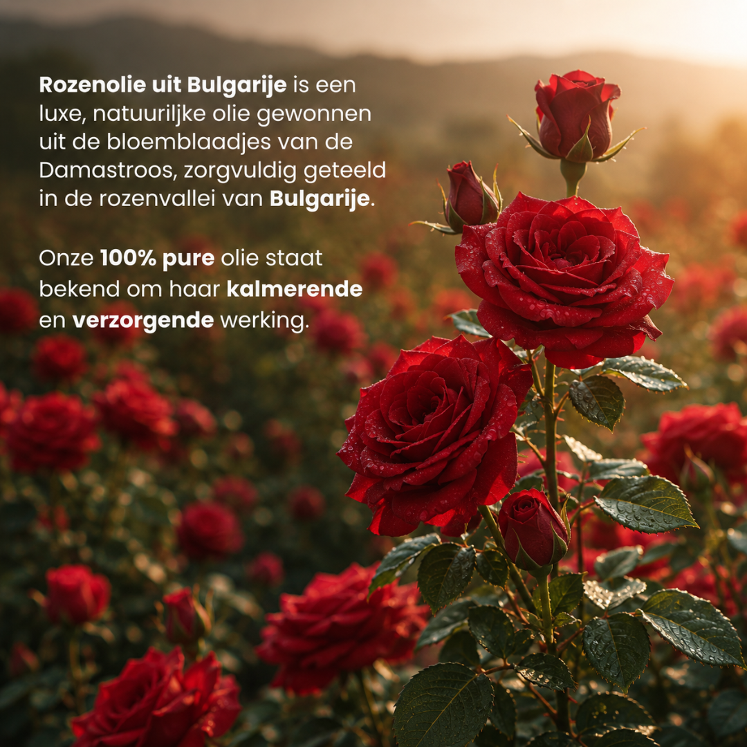 Huile Essentielle de Rose