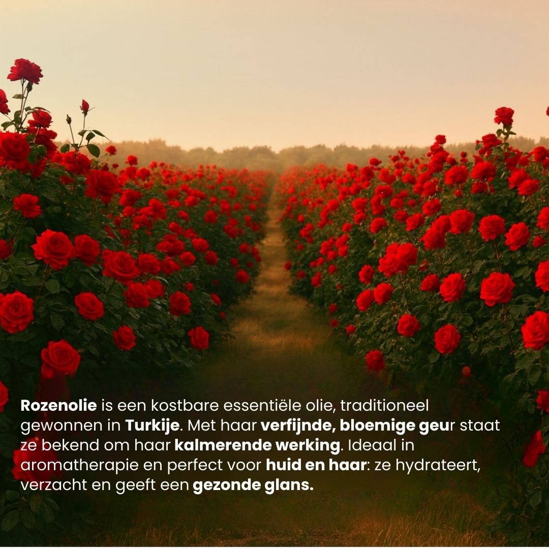 Rozen Olie (30ML) 100% Puur & Stoomgedestilleerd