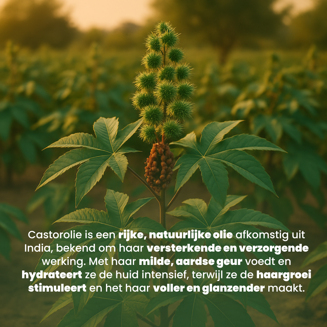 Castor Olie (100ML) - 100% Puur & Koudgeperst