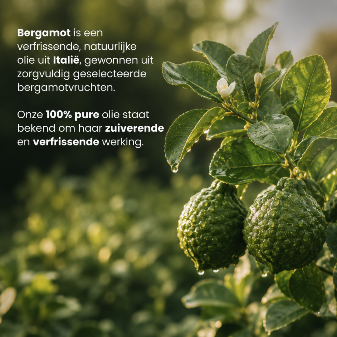 Bergamot Etherische Olie