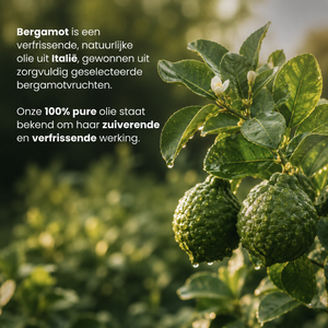 Bergamotte-Ätherisches Öl