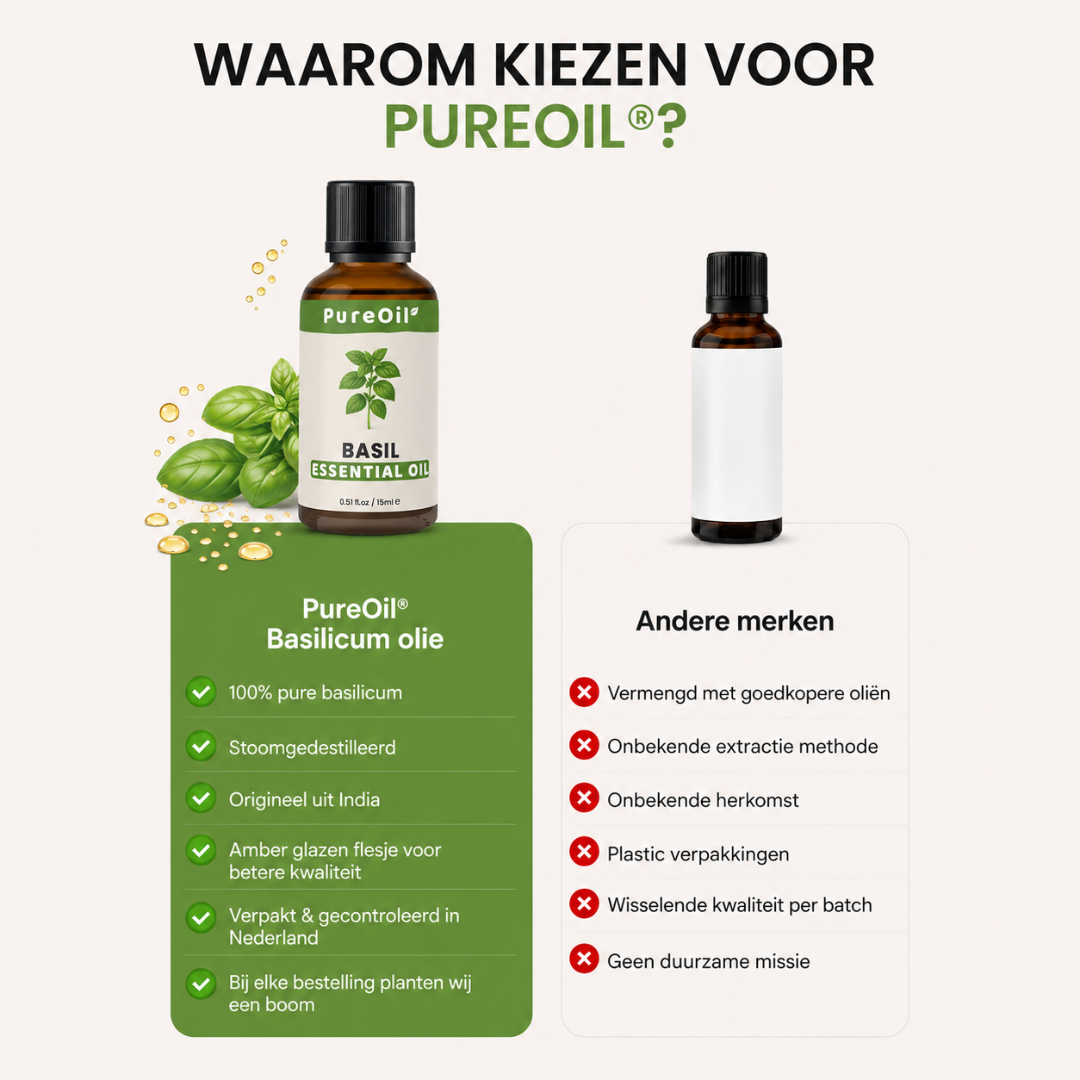 Huile Essentielle de Basilic 100% Pure et Distillée à la Vapeur