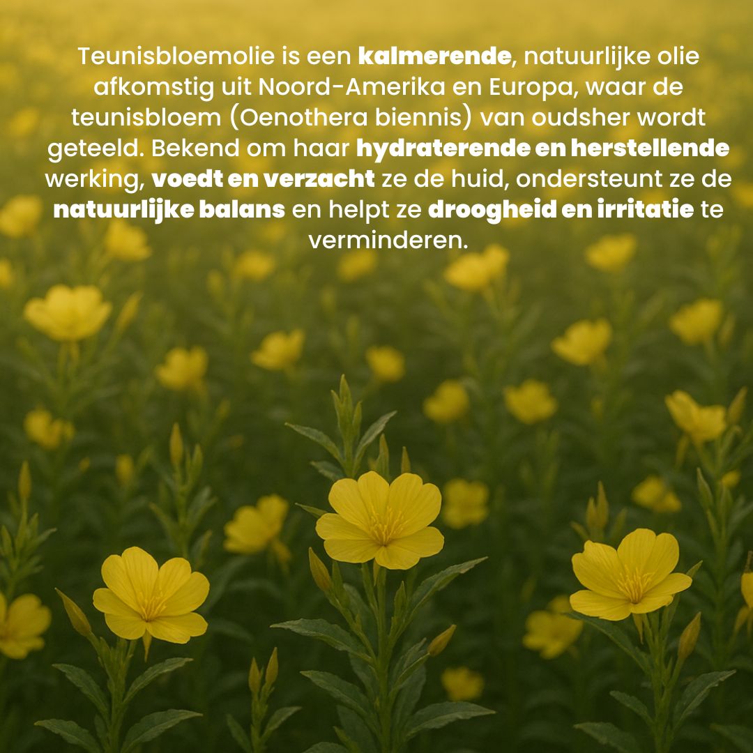 Teunisbloem Olie (100ML) - 100% Puur & Koudgeperst