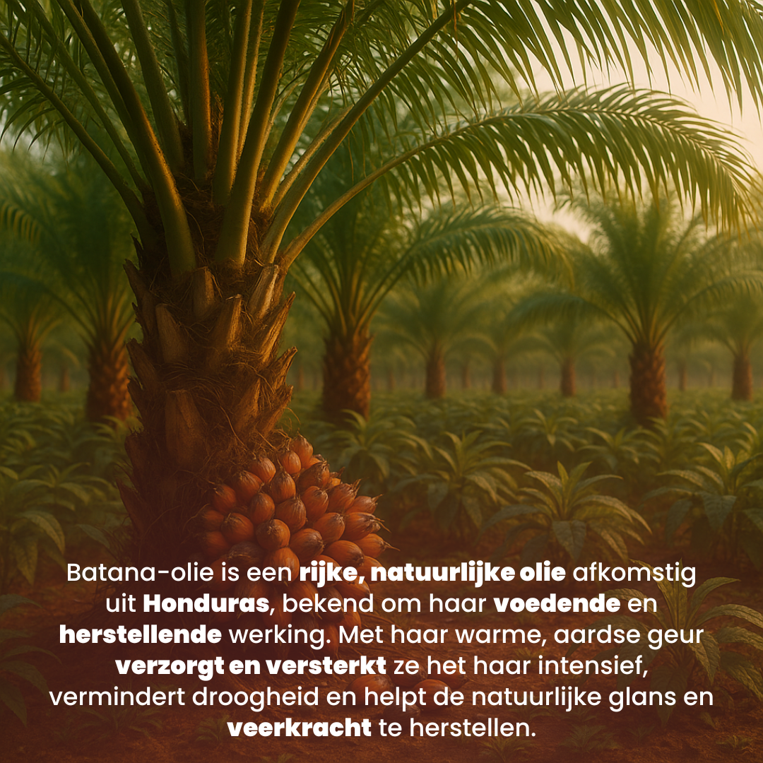 Batana Masker (300ML) - 100% Natuurlijk & Vegan