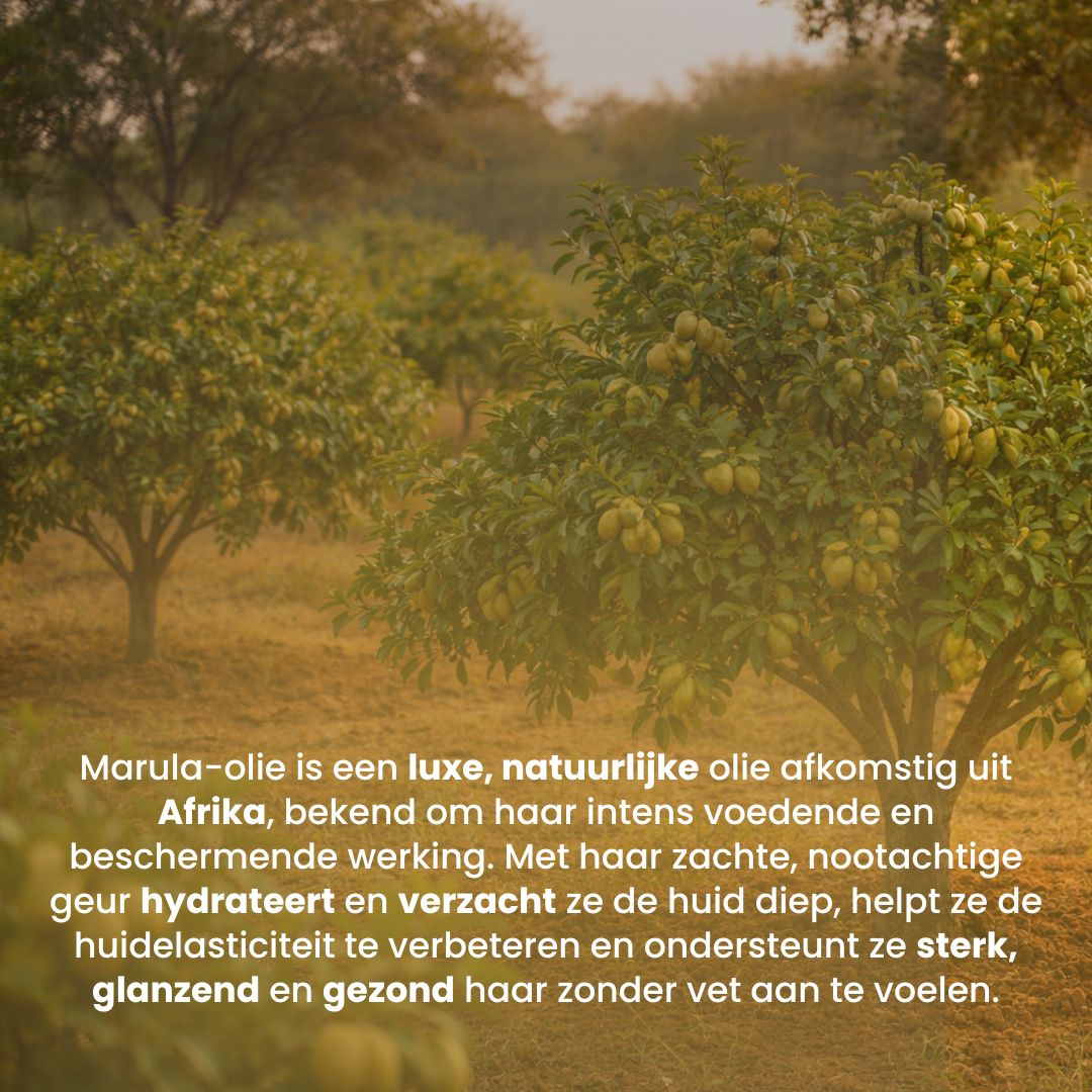 Marula Olie (100ML) 100% Puur & Koudgeperst