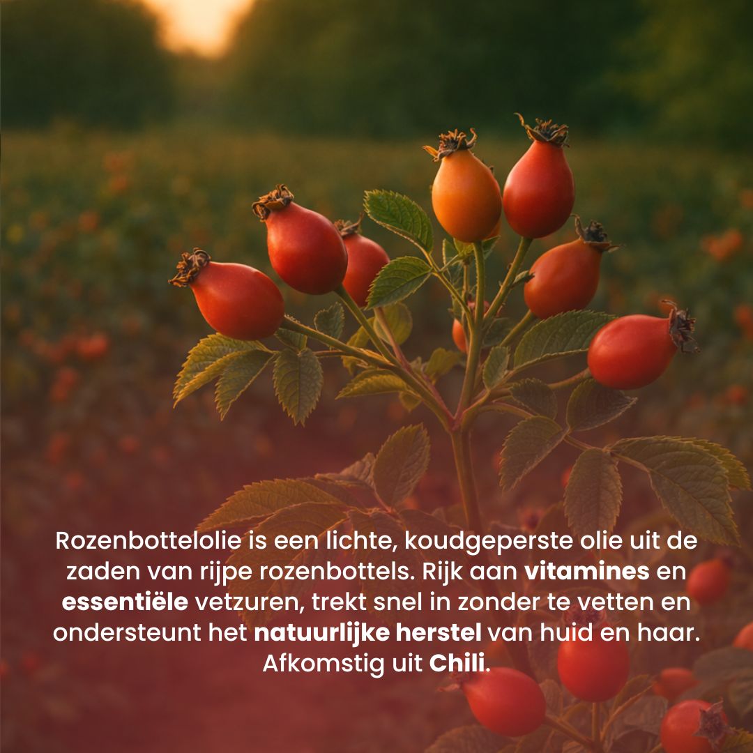 Rozenbottel Olie (100ML) - 100% Puur & Koudgeperst