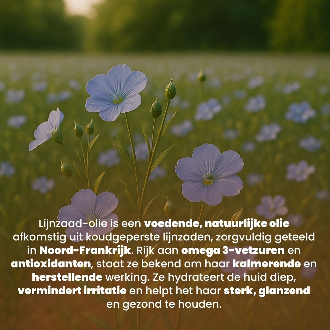 Lijnzaad Olie (100ML) – 100% Puur & Koudgeperst