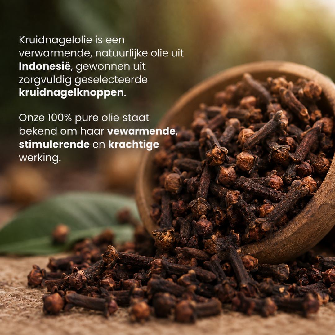 Kruidnagel Etherische Olie