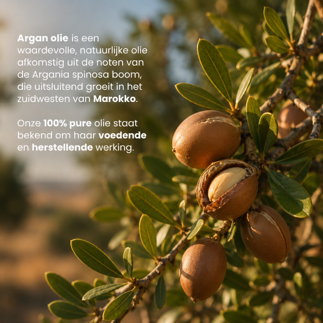 Argan Olie (100% Puur & Koudgeperst)