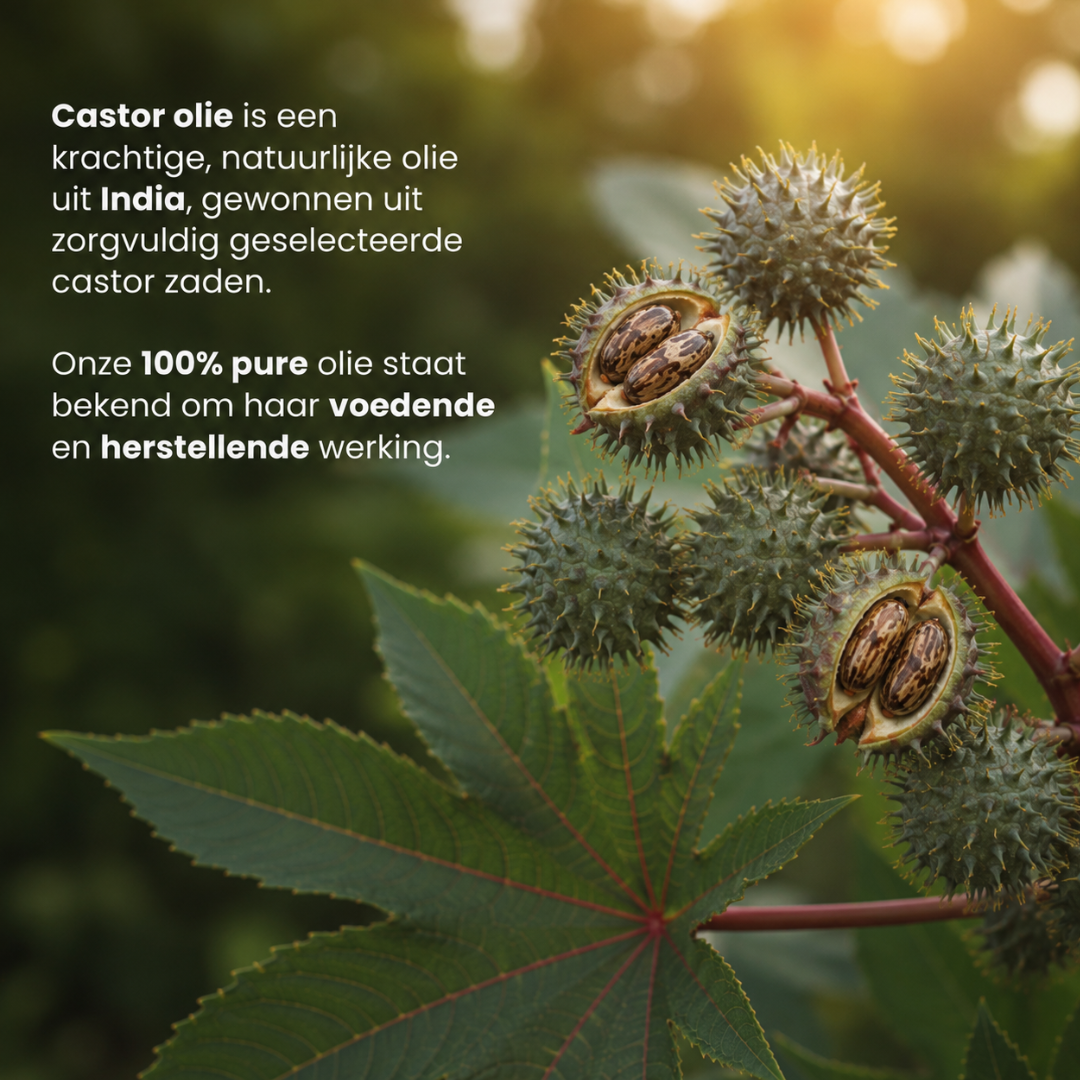 Castor Olie 100% Puur & Koudgeperst