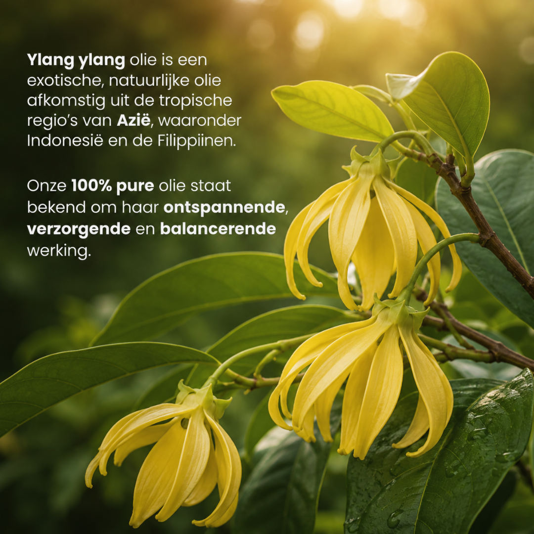 Ylang Ylang Etherische Olie