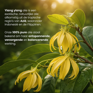 Ylang-Ylang-Ätherisches Öl