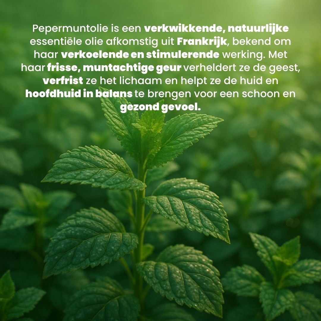 Pepermunt Olie (30ml) 100% Puur & Stoomgedestilleerd