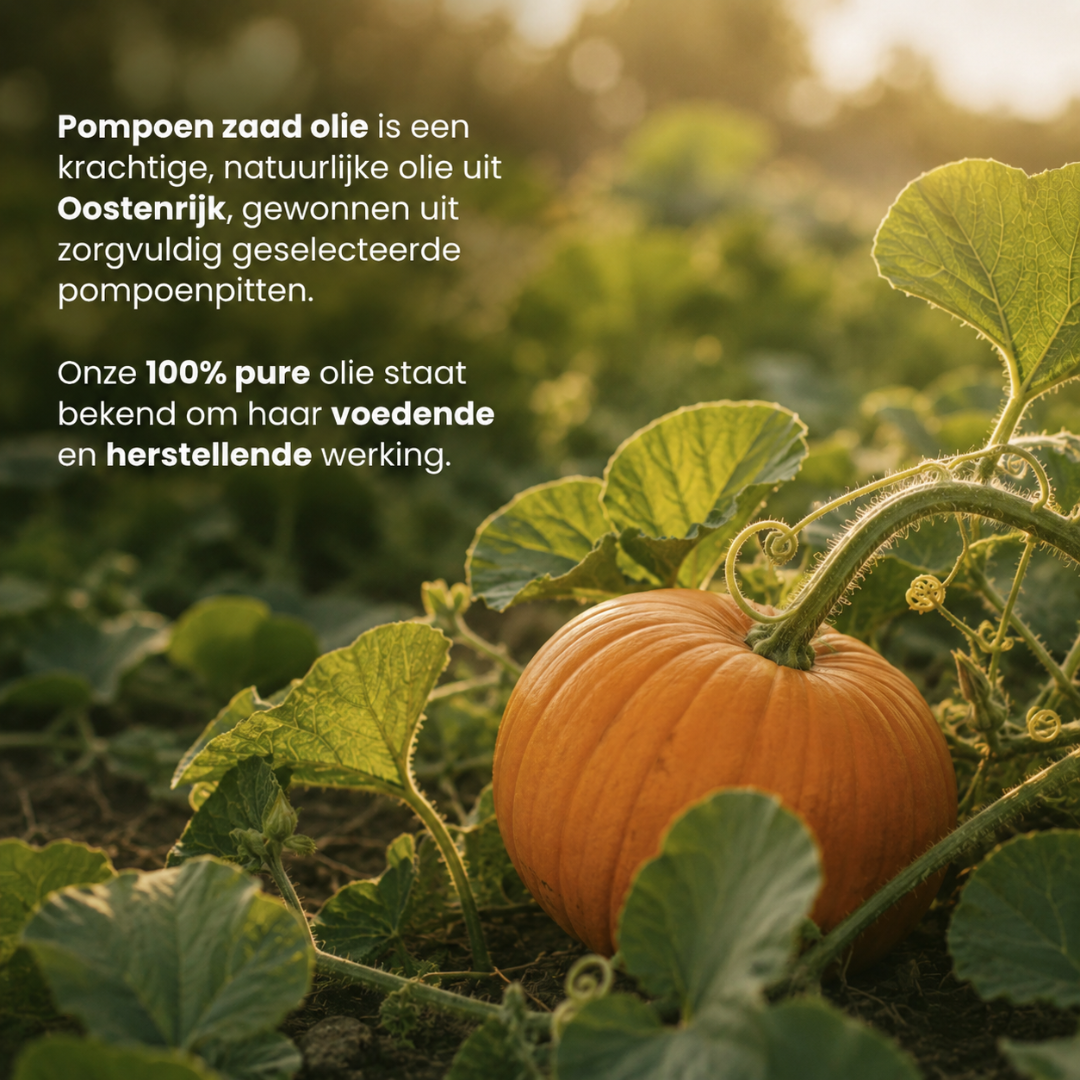 Pompoenpitolie - 100% Puur & Koudgeperst