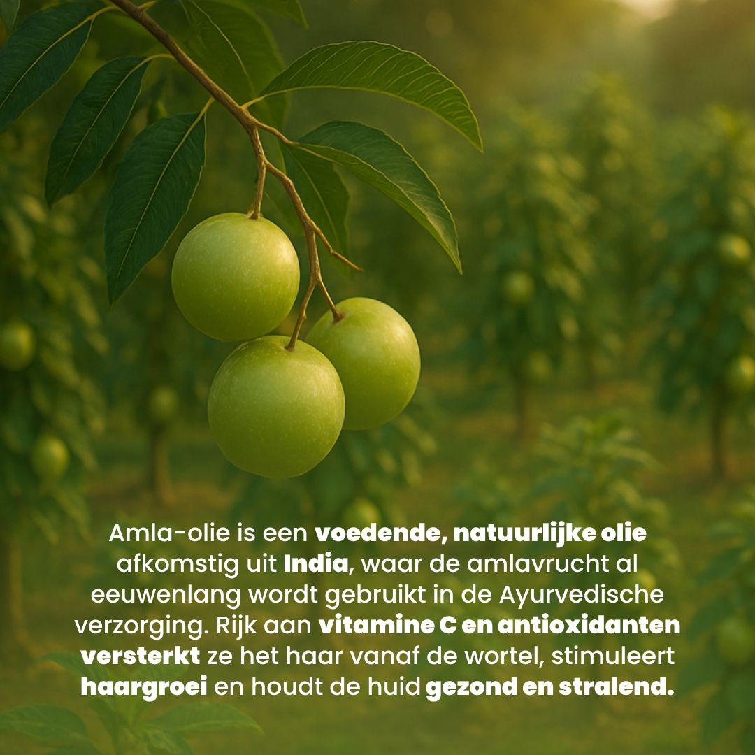 Amla olie (100ML) 100% Puur & Koudgeperst
