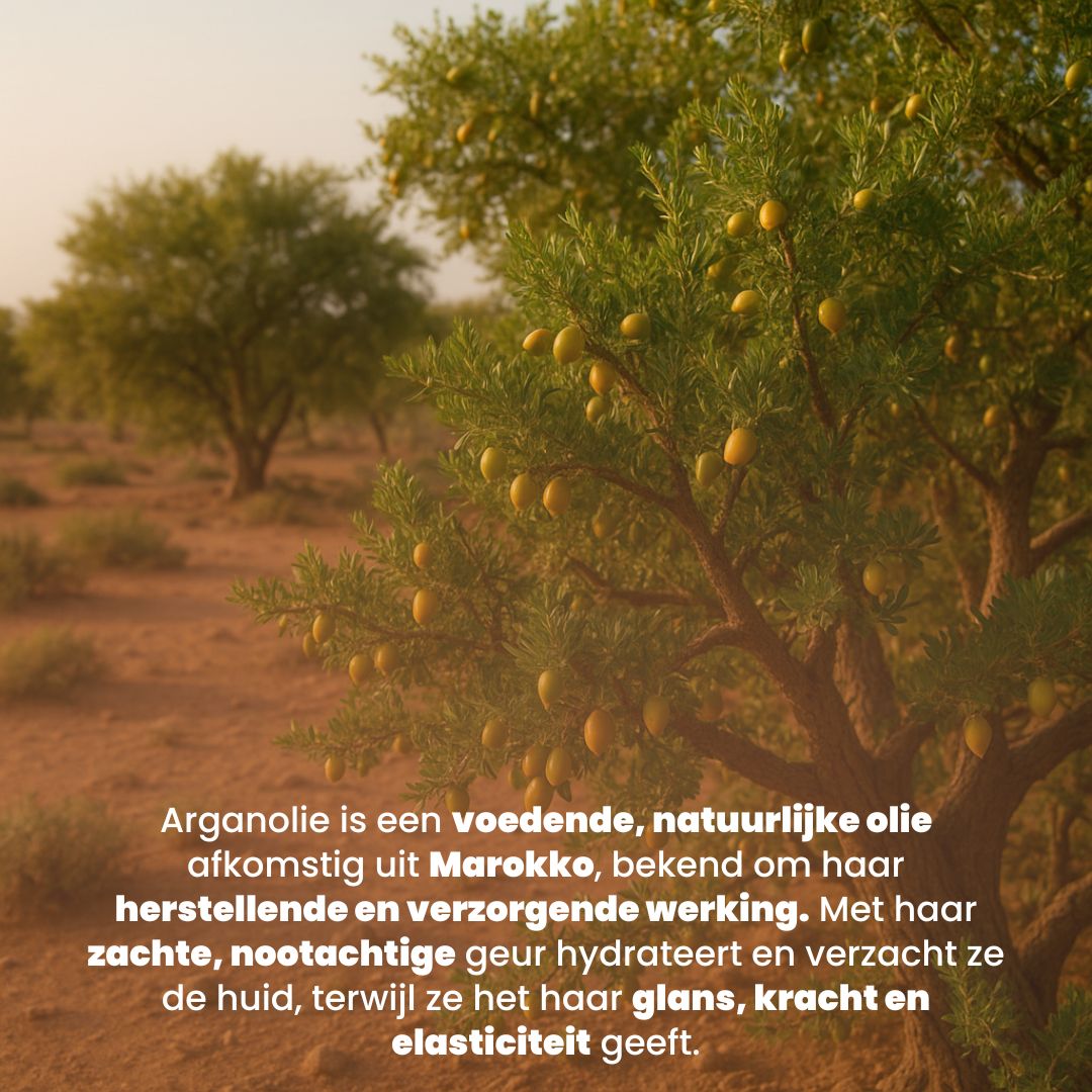 Argan Olie (100ml) 100% Puur & Koudgeperst