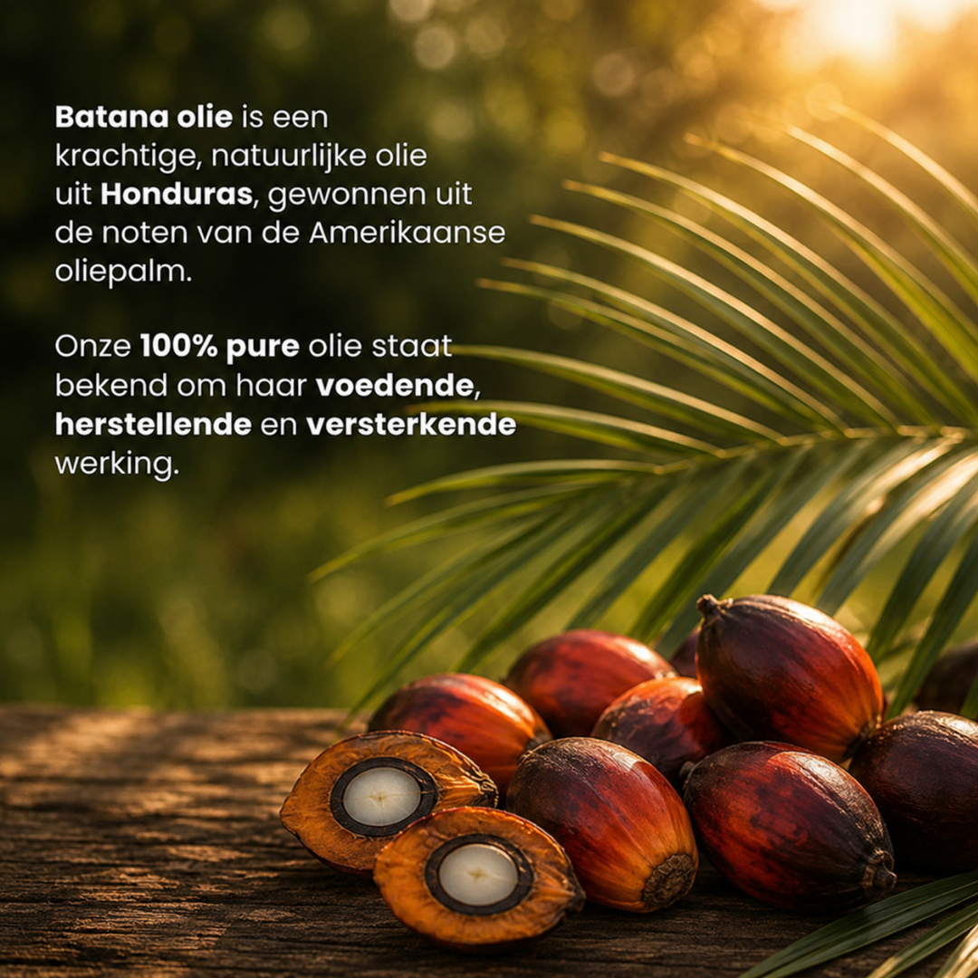 Batana Olie 100% Puur & Koudgeperst
