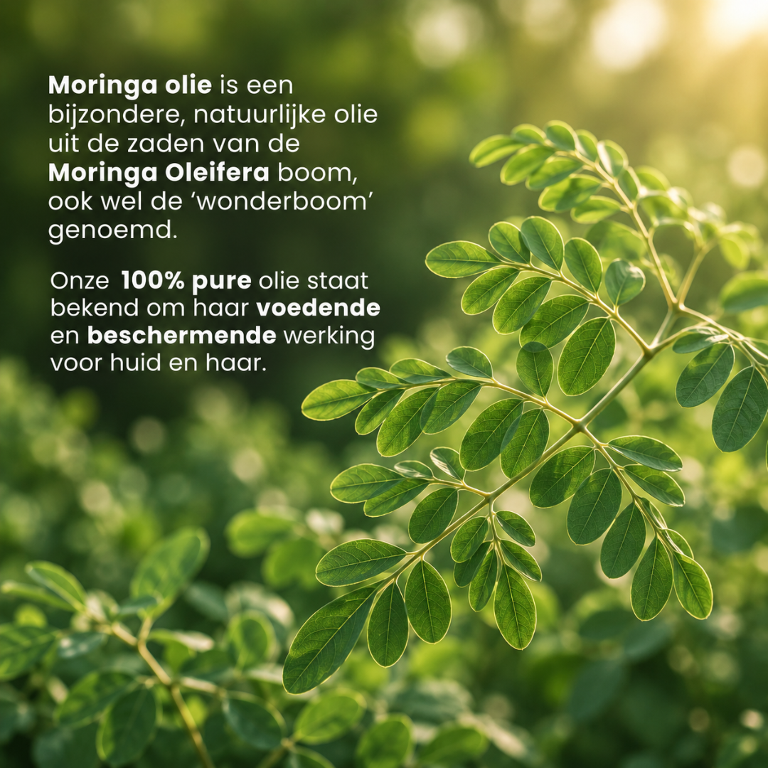 Moringa Olie (50ML) 100% Puur & Koudgeperst