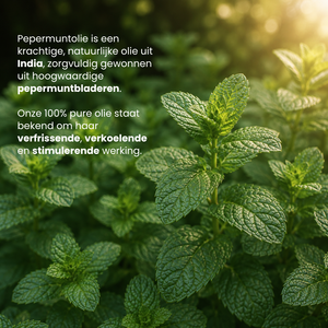Peppermint Essential Oil