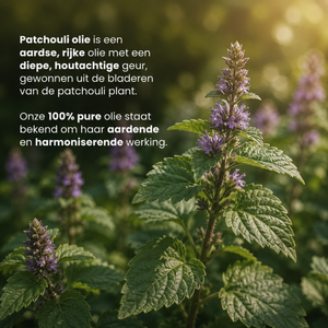 Patchouli Etherische Olie