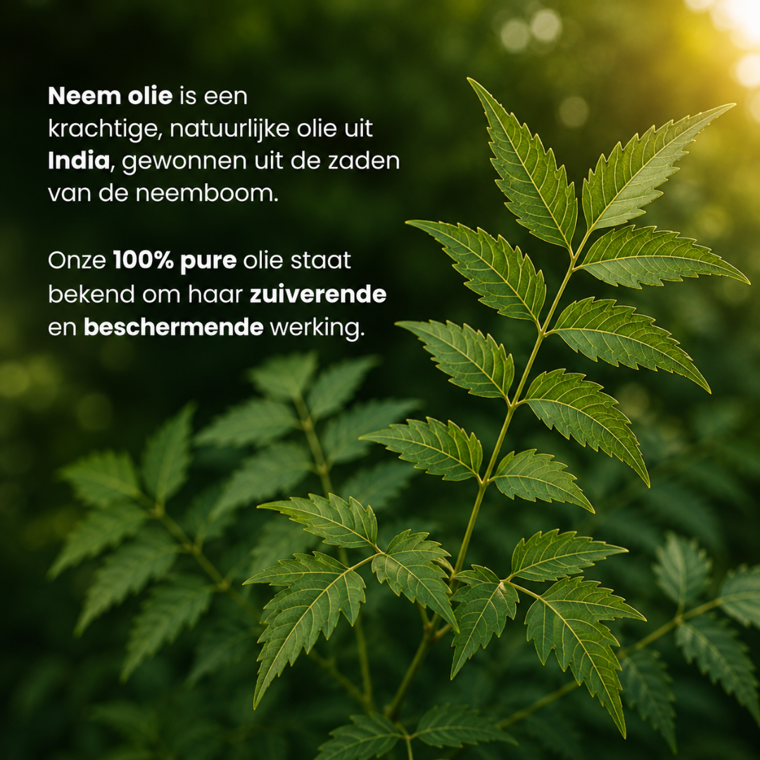 Neem Oil (100ML) – 100% Pure & Cold-Pressed