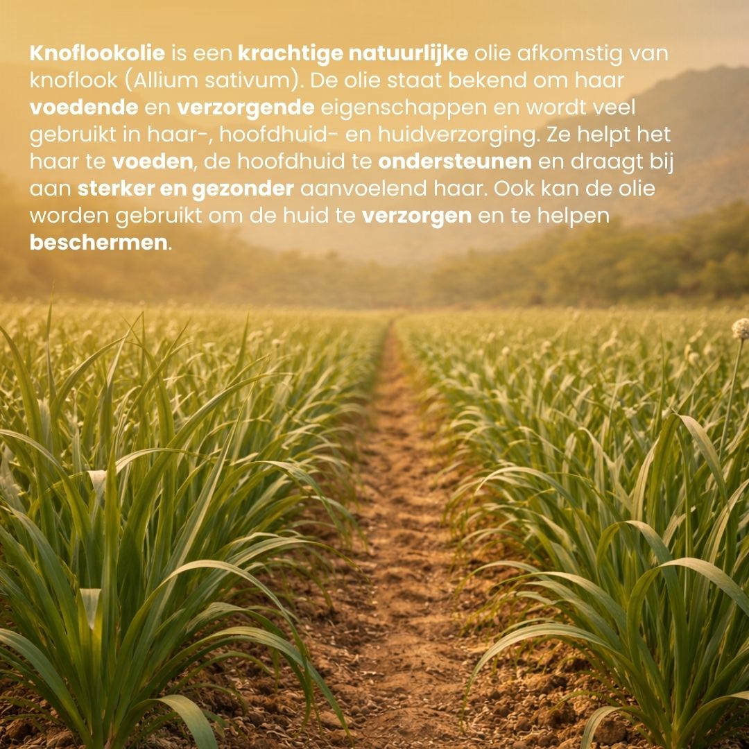 Knoflook Etherische Olie