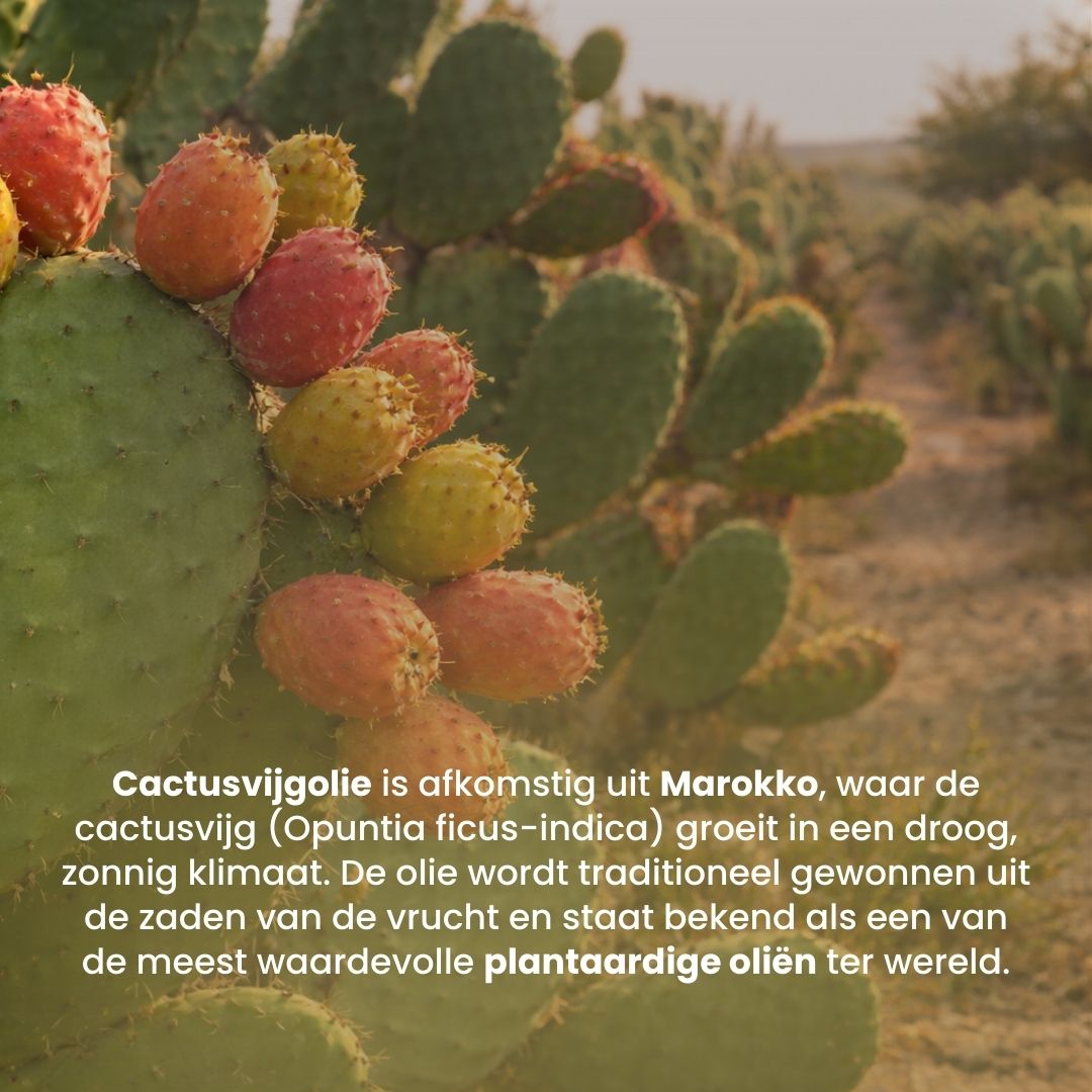 Cactusvijg Olie (30ML) 100% Puur & Koudgeperst