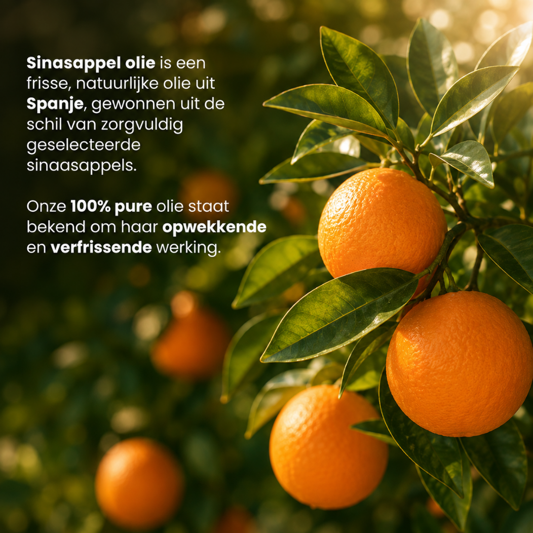 Ätherisches Orangenöl 100 % rein & dampfdestilliert